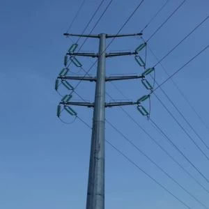 Ower transmissiepalen