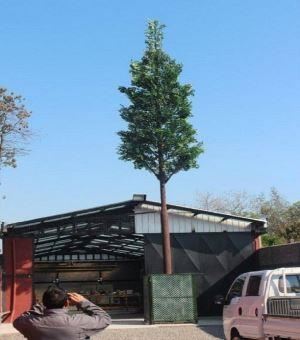 Verkapte Unipolaire kunstmatige boom mobiele telefoon toren