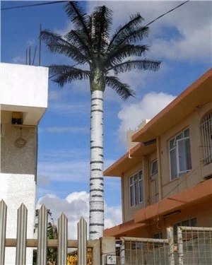 Bionic Coconut Communicatie Monopool
